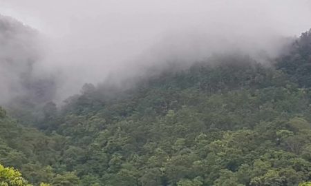 ขายที่ดิน - ขายที่เนินภูเขาวิวดอยแม่วางทุ่งปี้โฉนดพร้อมโอนราคาถูก
