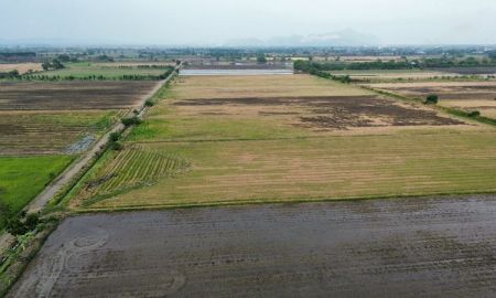ขายที่ดิน - ขายที่ดิน 9-1-23 ไร่ ตำบลโปร่ง อำเภอหนองโดน จังหวัดสระบุรี