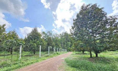 ขายที่ดิน - ขายสวนทุเรียน 38 ไร่ ติดถนนสาธารณะ นายายอาม จันทบุรี