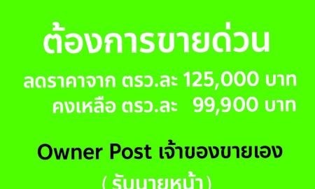ขายที่ดิน - ขายที่ดิน 2 ไร่ ซอยเลี่ยงเมือง ปากเกร็ด 18 จ.นนทบุรี