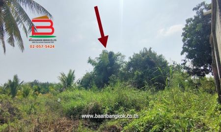 ขายที่ดิน - ที่ดินเปล่า บ้านหนองหัวเรือ ซ.6 เนื้อที่ 116 ตรว.ทางหลวงชนบท นว.3102 อ.เก้าเลี้ยว จ.นครสวรรค์