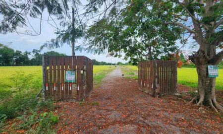 ขายที่ดิน - ขายที่ดิน 4 ไร่ หนองแค สระบุรี ใกล้วัดหนองโรง
