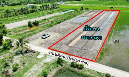 ขายที่ดิน - ขายที่ดินแปดริ้ว บางเตย 1 ไร่ ติดถ.คอนกรีต ใกล้โรบินสัน 11 กม. เมืองฉะเชิงเทรา