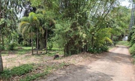 ขายที่ดิน - ขายที่ดินตำบลป่าเมี่ยงดอยสะเก็ตติดถนนติดลำธารน้ำพร้อมโอน