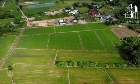 ขายที่ดิน - ขายที่ดิน 6ไร่ เขาพระ นครนายก พื้นที่วิวภูเขา ติดถนนใหญ่ โอโซนดีแถมต้นไม้ใหญ่อายุยืน