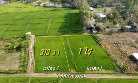 ขายที่ดิน - ที่นาแบ่งขาย 313 ตร.ว. และ 1 ไร่ ใกล้ที่ว่าการอ.สันกำแพง