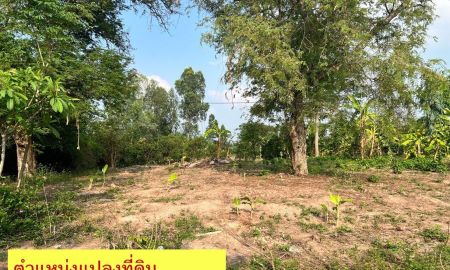ขายที่ดิน - ขายที่ดิน 1 ไร่ บ้านพริก บ้านนา นครนายก ใกล้ชุมชน เหมาะปลูกบ้าน ทำเกษตร