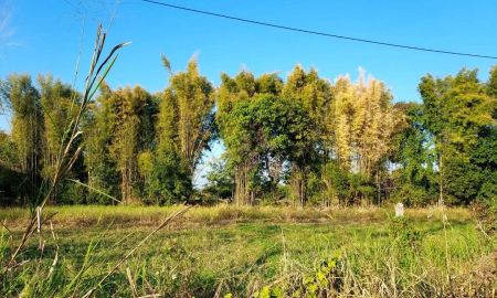 ขายที่ดิน - ขายที่ดินตำบลแช่ช้างสันกำแพงวิวสวยโฉนดพร้อมโอน