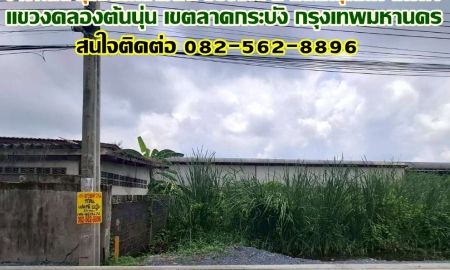 ขายที่ดิน - ขายที่ดิน ชุมชนรักสามัคคี ซอยมณี 2 ถนนกรุงเทพฯกรีฑา ลาดกระบัง