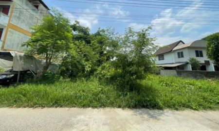 ขายที่ดิน - ขายที่ดินตำบลท่าศาลาห่างถนนหลัก 500เมตรพร้อมโอน