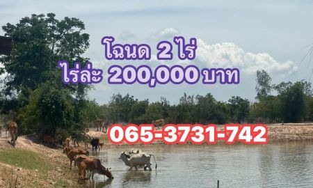 ขายที่ดิน - ที่ดินไว้ปลูกบ้านทำการเกษตร เน้นราคาจับต้องได้ วิวดี น้ำไฟฟ้าครบ