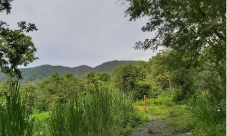 ขายที่ดิน - ขายที่ดิน วิวภูเขา แม่ออน 2 แปลง 6 ไร่กว่า # ราคาพิเศษ