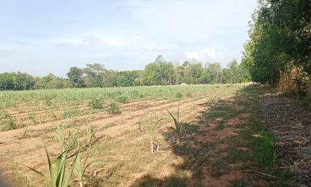 ขายที่ดิน - ด่วน! ขายถูกที่ดิน ทำสวน จังหวัดกาฬสินธุ์