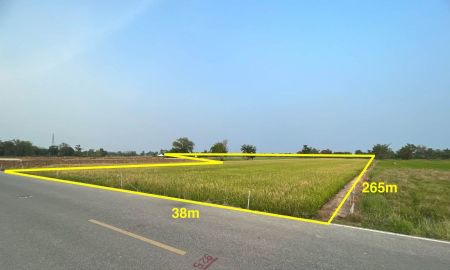 ขายที่ดิน - ขายที่ดิน ซ.หนองหัวยาง 13 อ.ท่าทอง จ.พิษณุโลก 11-0-55.5 ไร่