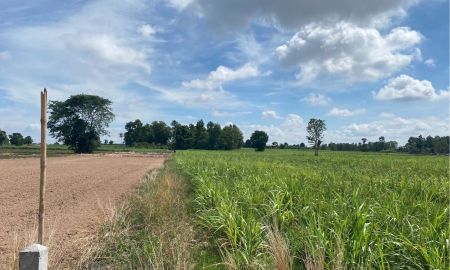 ขายที่ดิน - ขายที่ดินสวย อำเภอเมือง จังหวัดกาฬสินธุ์