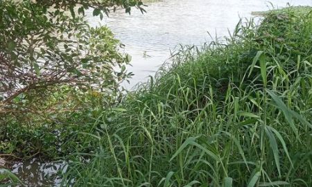 ขายที่ดิน - ขายที่ดินริมคลองลาดชะโดลาดหลุมแก้ว ปทุมธานี 13 ไร่ติดถนนสาธารณะประโยชน์ หน้ากว้าง71 เมตร ยาว300เมตร ไร่ละ3500000