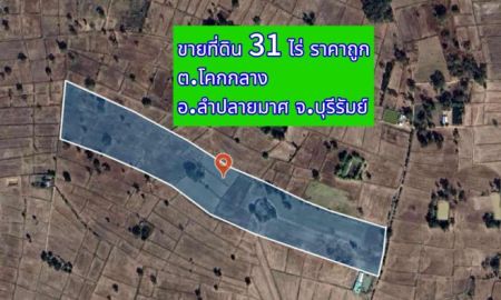 ขายที่ดิน - ขายที่ดินอำเภอลำปลายมาศจังหวัดบุรีรัมย์แปลงสวยใกล้ดังชุมชน