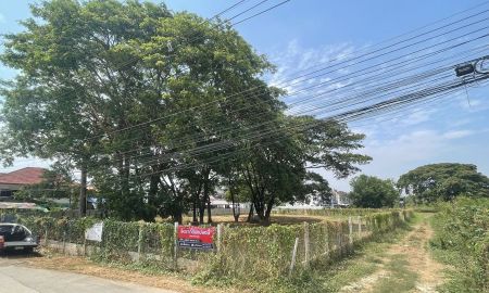 ให้เช่าที่ดิน - ให้เช่าที่ดินเปล่า หนองหอย เชียงใหม่ เนื้อที่ 1 ไร่ 2 งาน 69.8 ตรว