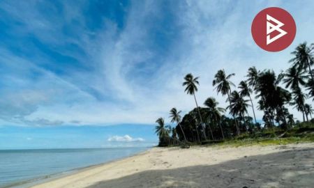 ขายที่ดิน - ขายที่ดินติดทะเล ( แบ่งขาย 6 แปลง ) ต.สระแก้ว อ.ท่าศาลา นครศรีฯ