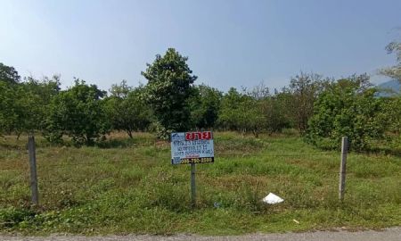 ขายที่ดิน - ขายที่ดิน 22-1-71.4 ไร่ ซอยมะขามป้อม ต.สาริกา อ.เมือง จ.นครนายก