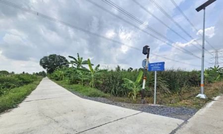 ขายที่ดิน - ขายที่ดินเปล่า แปลงสวย ซอยโรงช้อน หนองเสือ ปทุมธานี