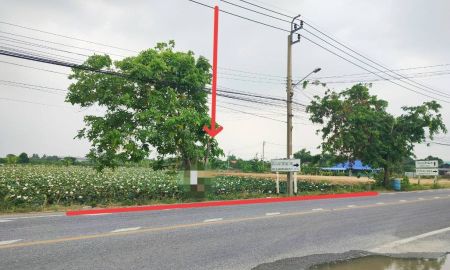 ขายที่ดิน - ที่ดินนาบัวหลวง 1 ไร่ ติดถนน นบ.5014 บางใหญ่-วัดต้นเชือก-จงถนอม (กว้าง 32 ม.ลึก 50 ม.)