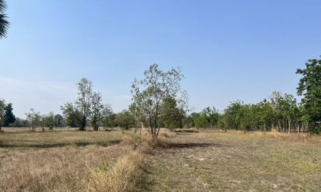 ขายที่ดิน - ขายที่ดิน ห่างเมืองเก่าสุโขทัย 10 กิโลเมตร เป็นที่นา มีบ่อน้ำ อำเภอคีรีมาศ