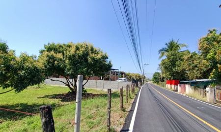 ขายที่ดิน - ขายที่ดินตำบลสารภีห่างถนนต้นยางเพียง 700เมตร