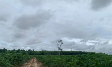 ขายที่ดิน - ขายที่ดินแม่น้ำคู้ 50 ไร่ หน้ากว้างติดถนน4เลนเส้น3191-160เมตร ใกล้นิคมดับบลิวเอชเอ4(WHA4)-2กม. อ.ปลวกแดง จ.ระยอง