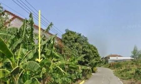 ขายที่ดิน - ที่ดิน 142 ซอยบางม่วง-บางคูลัด 23 แปลงมุมติดถนนลาดยางและติดทางจัดสรร 6 เมตร