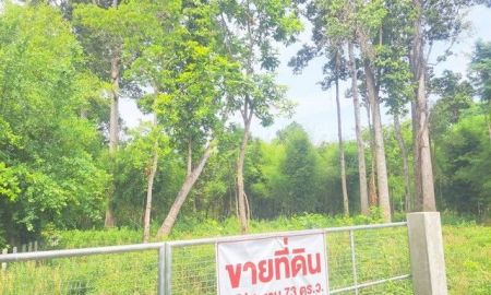 ขายที่ดิน - ขายที่ดินสำหรับคนรักต้นไม้มีต้นไม้ใหญ่ อายุ 100 ปี ตำบลดูน อำเภอกันทรารมย์ จังหวัดศรีสะเกษ