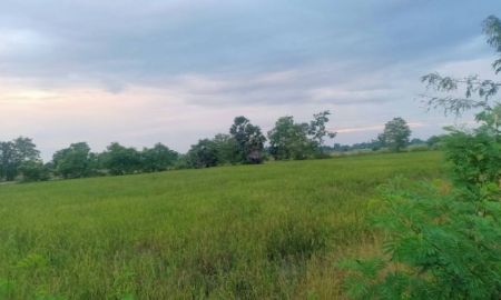 ขายที่ดิน - ขายที่ดินแปลงสวย ติดถนนใหญ่ ทำเลศักยภาพ เจ้าของขายเอง สากเหล็ก พิจิตร