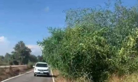 ขายที่ดิน - ขายที่ดินสันกำแพงห่างถนนหลัก 1317 เพียง 110 เมตร