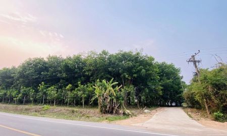 ขายที่ดิน - ขายที่ดินสวนยางพารา ติดถนนดำไฟฟ้าน้ำประปาถึง