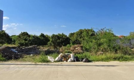 ขายที่ดิน - ขายที่ดินตำบลท่าวังตาลสารภีติดถนนคอนกรีตพร้อมโอน