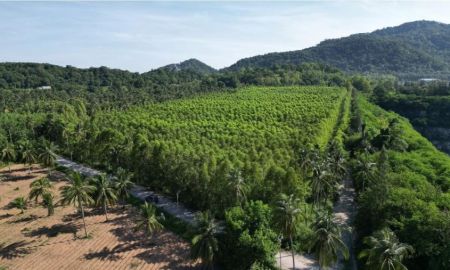 ขายที่ดิน - ขาย ที่ดินวิวภูเขา ตำบลบางพระ อำเภอศรีราชา จังหวัดชลบุรี