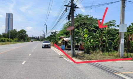ขายที่ดิน - ขายที่ดิน ซอยเอเบค บางนา-ตราด กม.26 ใกล้สนามบิน