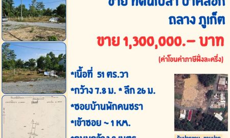 ขายที่ดิน - ขาย ที่ดินเปล่าซอยท่าหลา ป่าคลอก ถลาง ภูเก็ต