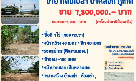 ขายที่ดิน - ขาย ที่ดินเปล่า ซอยลุ่มไทร เข้าซอย 100 เมตร ป่าคลอก ถลาง ภูเก็ต