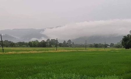ขายที่ดิน - ขายด่วน! แบ่งขายที่ดิน 200 ตรว. อ.เมือง จ.นครนายก วิวสวยที่สุดในเขาพระ อากาศดีมาก มีเขาล้อมรอบ