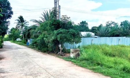 ขายที่ดิน - ที่ดินอยู่อาศัย ทำเลดี กลางชุมชน อ.ปะคำ บุรีรัมย์