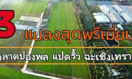 ขายที่ดิน - ขายด่วน! ที่ดินสีม่วง ราคาถูกที่สุดในย่านนี้ เหมาะสำหรับสร้างโรงงาน โกดัง หรือทำธุรกิจ ใกล้กรุงเทพฯ ทำเลดี เดินทางสะดวก