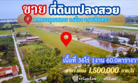 ขายที่ดิน - ขายที่ดินฉะเชิงเทรา 36ไร่ ผังสีส้ม ศักยภาพดี ทำเลใกล้เมือง