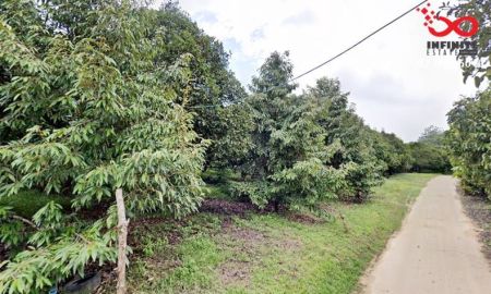 ขายที่ดิน - ขายที่ดินสวนเกษตร 130 ไร่ อำเภอละอุ่น ระนอง