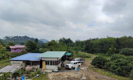 ขายที่ดิน - ขายสวนลำไย 28ไร่2งานพร้อมบ้านสวน น้ำ ไฟฟ้า อินเตอร์เนต กล้องวงจรปิด