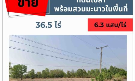 ขายที่ดิน - ขายที่ดินพร้อมสวนมะนาวในพื้นที่ 36.5 ไร่ ต.ป่าหวาย อ.สวนผึ้ง จ.ราชบุรี