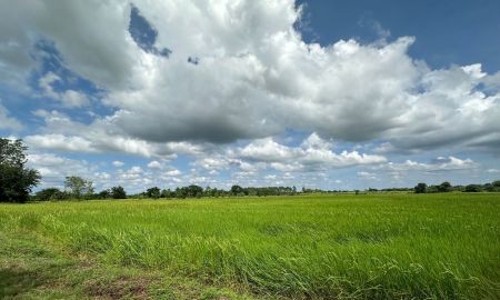ขายที่ดิน - ขายที่นา ติดคลองชลประทาน ใกล้เมืองขอนแก่น เหมาะทำบ้านสวนหรือทำนา