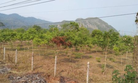 ขายที่ดิน - ที่ดินเขาใหญ่ ถ.ธนะรัชต์ มุ่งหน้าเขาใหญ่