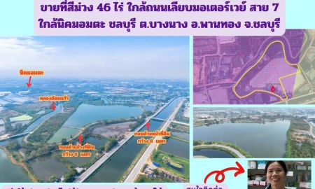 ขายที่ดิน - ขายที่สีม่วง 46 ไร่ ใกล้ถนนเลียบมอเตอร์เวย์ สาย 7 ใกล้นิคมอมตะ ชลบุรี ต.บางนาง อ.พานทอง จ.ชลบุรี