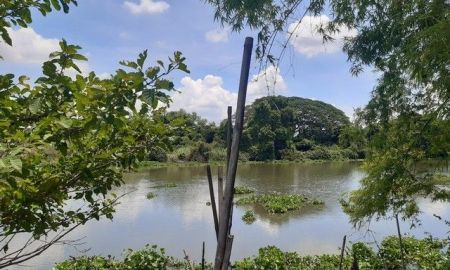 ขายที่ดิน - ขายที่ดินทำเลดีบางพลวง 1 ไร่(459ตรว.) ติดแม่น้ำบางปะกง ติดถนน4เลน3481 อ.บ้านสร้าง ปราจีนบุรี